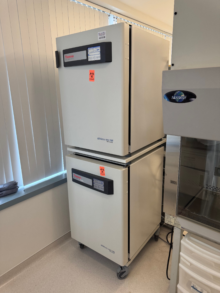 Image of Thermo Scientific Heracell Vios 160i Doublestack CO2 Incubator